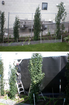 Acoustifence noise barrier installed as curtains block noise from neighboring AC units