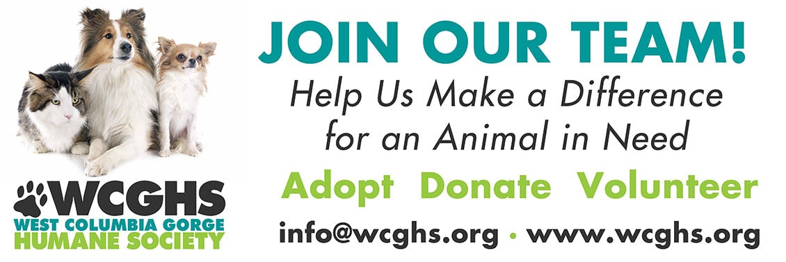 AnimalShelterImage1130