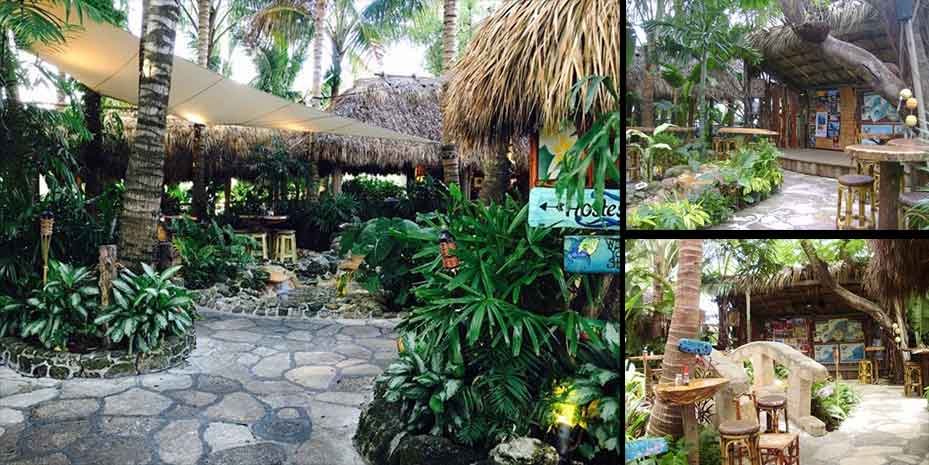 GuanabanasOutdoorImageCollageReduced Quieting Guanabanas Outdoor Live Music