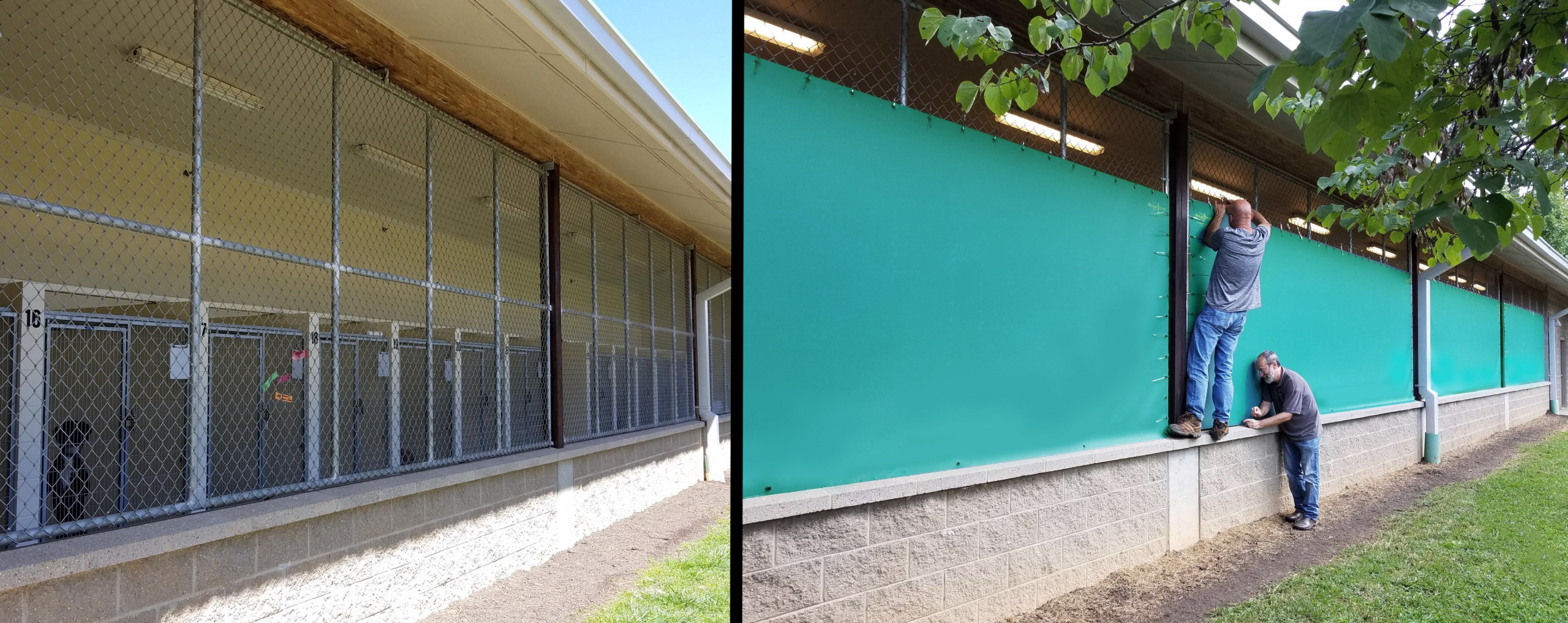 Installation-V-Before&After Asheville Humane Society Noise Reduction