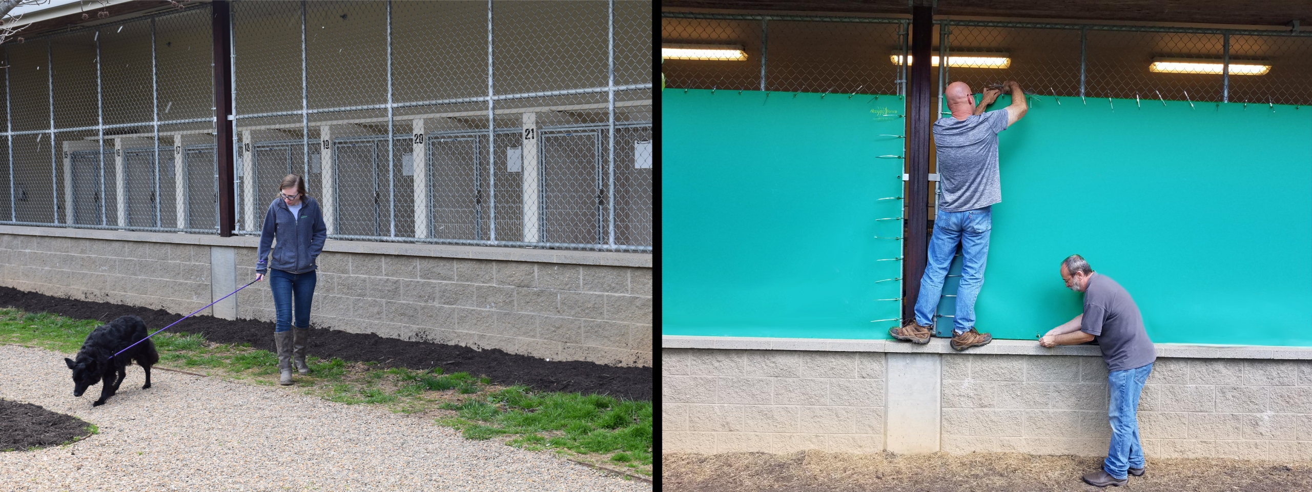 Installation-VII-Before&After Asheville Humane Society Noise Reduction