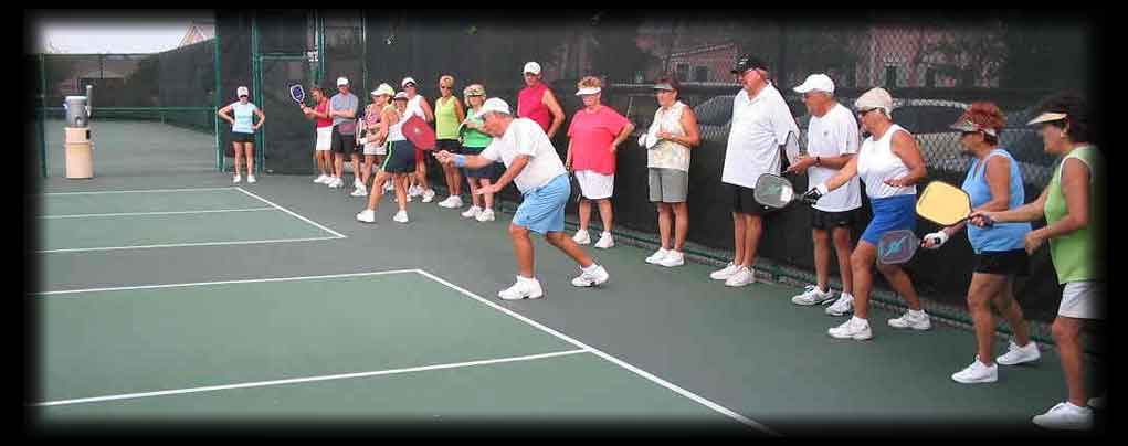 pickleballnoisefeathered1-optimized Pickleball Racket