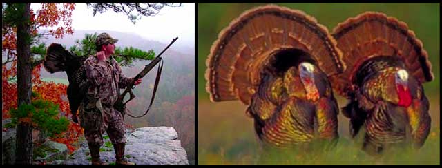 TurkeyShootPostImage